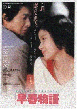 回声谷电影海报